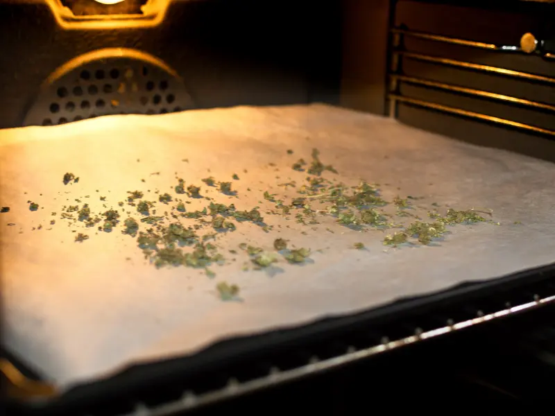 Cannabis im Ofen trocknen