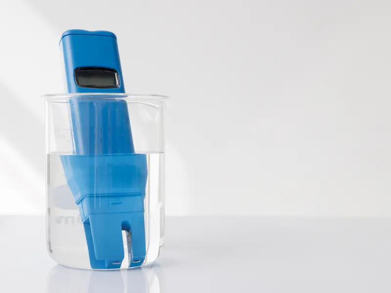 ecwert-cannabispflanzen