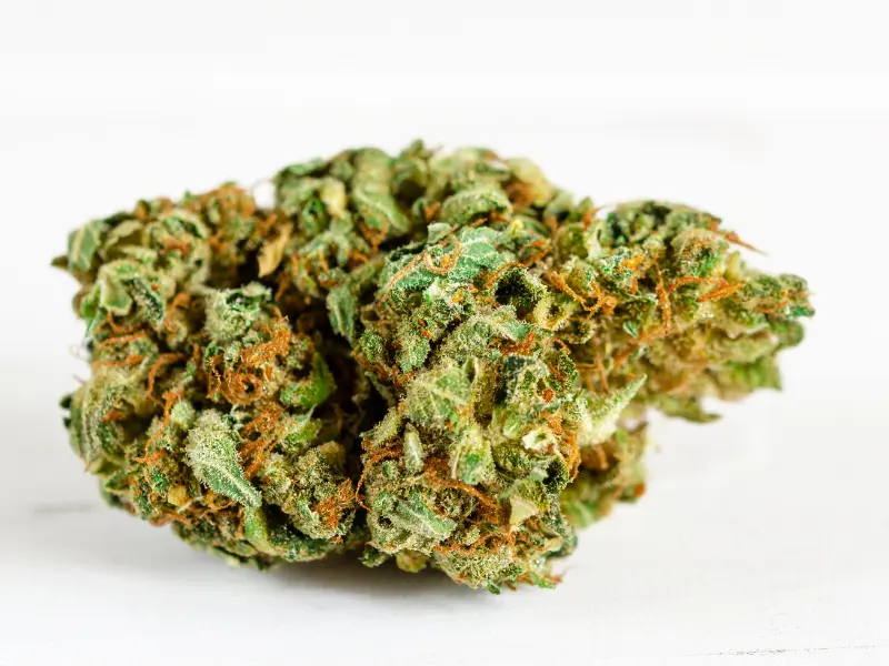 unterschied-hasch-gras