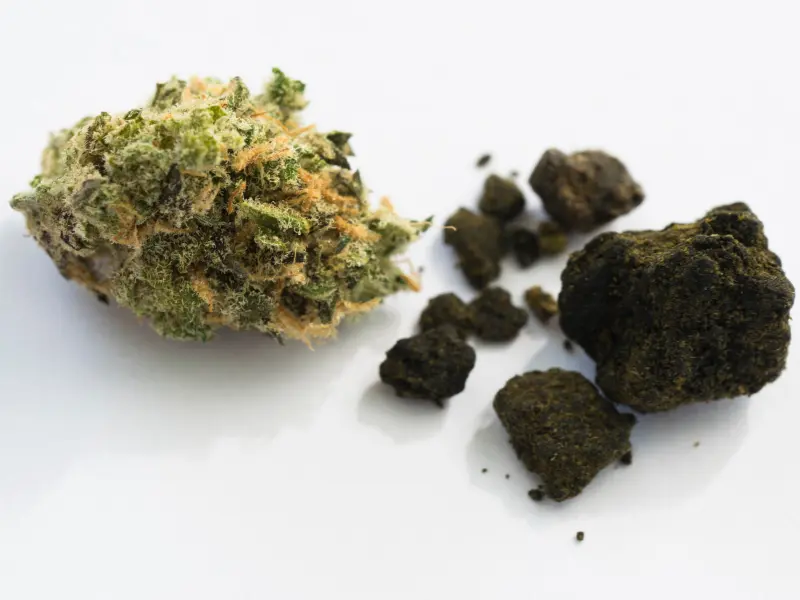 Unterschied Hasch und Gras: ein detaillierter Überblick!